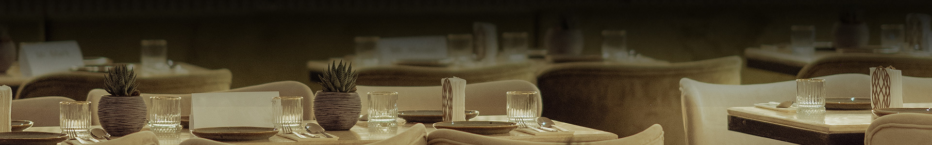 Horizon Inner Banner