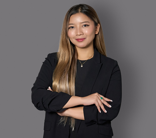 Horizon Solutions Team